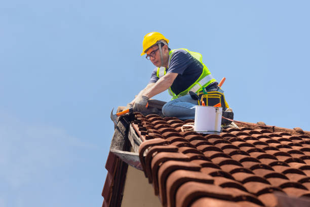 Professional Roofing Contractor in Palmview, TX